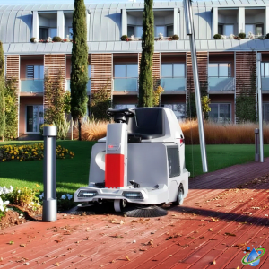 Maturatori profesionale